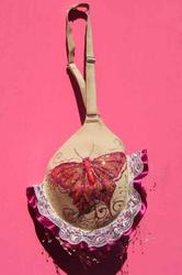 Bra Purse Creations